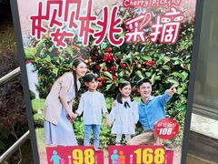 -菊园百果园