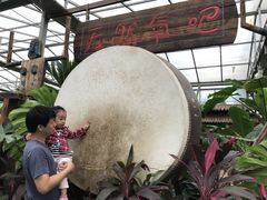 -北京呀路古热带植物园