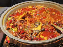 -师烤·豆花烤鱼(广州荔湾扬韬广场店)