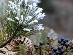 -青峰峡国家森林公园