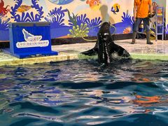 -太平洋海底世界