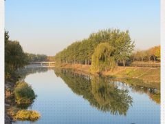 -东郊湿地公园