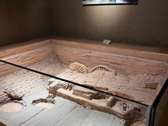 -洛阳周王城天子驾六博物馆