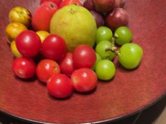 -同庆楼(滨湖万达广场店)