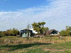 -田园东方蜜桃村的田野营地