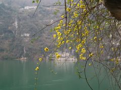 -三峡人家风景区