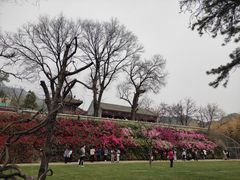 -红螺寺