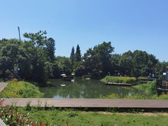 -西溪国家湿地公园