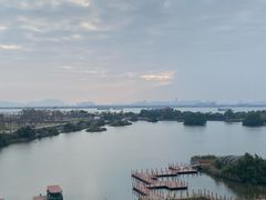 -芒洲湿地公园