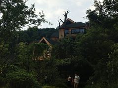 -杭州开元森泊度假乐园