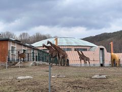 -哈尔滨北方森林动物园