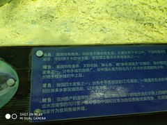 -上海长江河口科技馆
