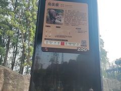 -武汉动物园