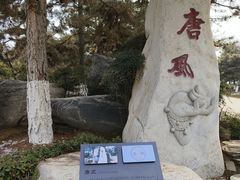 -中国唐苑