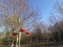 -丰台科技园生态主题公园
