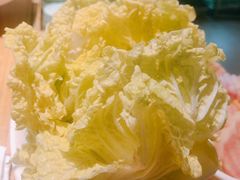 娃娃菜-鲜货俚鲜火锅(青果路店)