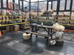 -北马山庄植趣咖啡