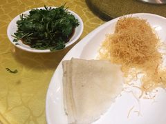 -丁老爷子苏香圆