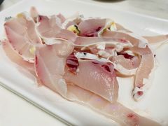 脆鲩鱼腩-中山脆肉鲩(新圳东路店)