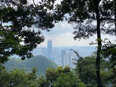 -黔灵山公园
