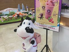 -一只酸奶牛(百联南岸上海城店)