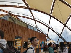 -怀托摩萤火虫洞