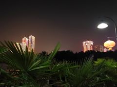 -武汉两江游览·夜游长江(汉口粤汉码头)