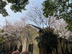 -颐和路民国时期公馆风貌区