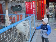 -有喜胶东小馆(太申祥和店)