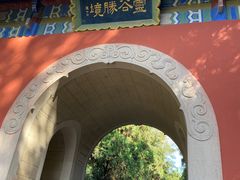 -灵谷景区