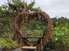 -广州白江湖森林公园