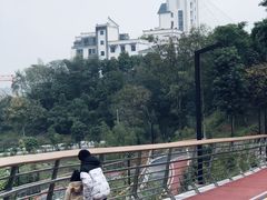 -大渡口区义渡公园