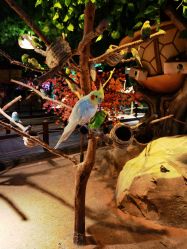 -酷嗒动物文化乐园(cutezoo西溪乐天城店)