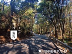 -青龙山国家森林公园