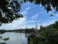 -森波拉奇妙世界