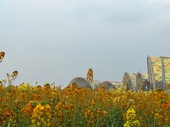 -中国天府农业博览园