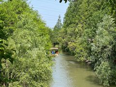 -上海长兴岛郊野公园