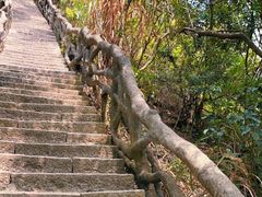 -梧桐山风景名胜区