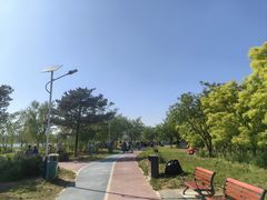 -绿堤公园