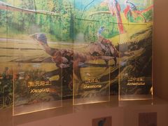 -辽宁古生物博物馆