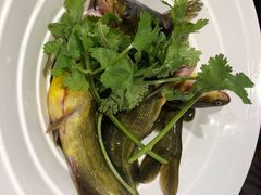 -野山舂·贵州现舂酸汤火锅(鸿通城店)