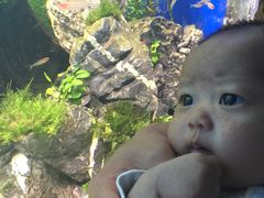 -多彩贵州城极地海洋世界