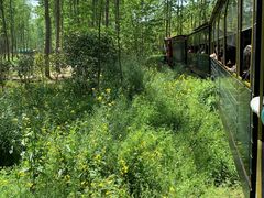 -合肥滨湖国家森林公园