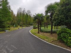-东平国家森林公园
