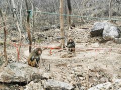 -南京金牛湖风景区