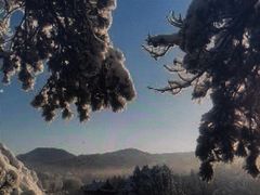 -九龙江国家森林公园