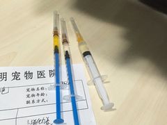 -诺威宠物医院(官邸分院)