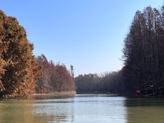 -上海海湾国家森林公园