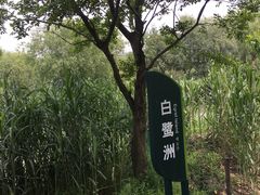 -长兴太湖图影湿地文化园