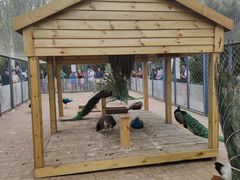 -长白岛森林公园